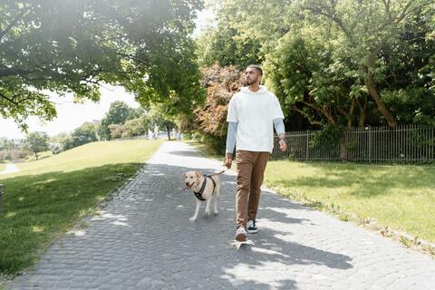 A man walking with his dog in a park